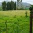  Land for sale in Guarne, Antioquia, Guarne