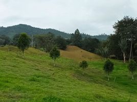  Terreno (Parcela) en venta en La Ceja, Antioquia, La Ceja