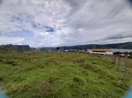  Land for sale in Calima, Valle Del Cauca, Calima