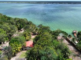 Terrain à vendre à Othon P Blanco, Quintana Roo, Othon P Blanco