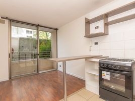 1 Bedroom Apartment for rent in Cerro San Cristobal, Santiago, Santiago, Santiago