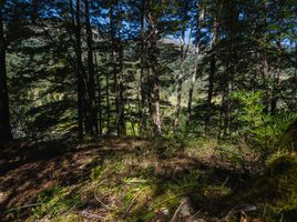  Terreno (Parcela) en venta en Chile, Aisen, Aisén, Aisén del General Carlos Ibáñez del Campo, Chile