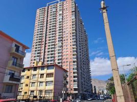 2 Habitación Apartamento en venta en Chile, Antofagasta, Antofagasta, Antofagasta, Chile