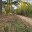  Land for sale in Villa Gesell, Buenos Aires, Villa Gesell