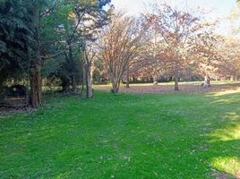  Land for sale in La Plata, Buenos Aires, La Plata