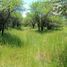  Land for sale in Retiro, Maule, Retiro