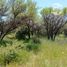  Land for sale in Maule, Retiro, Linares, Maule