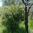  Land for sale in Maule, Retiro, Linares, Maule
