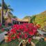 3 Habitación Casa en venta en Cuernavaca, Morelos, Cuernavaca