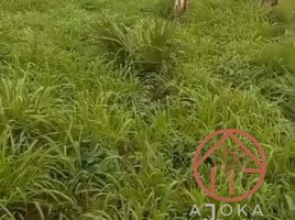  Grundstück zu verkaufen in Tampico Alto, Veracruz, Tampico Alto, Veracruz
