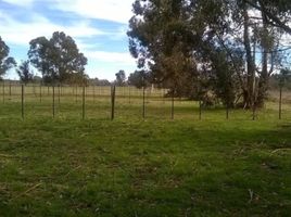  Grundstück zu verkaufen in Tres Arroyos, Buenos Aires, Tres Arroyos