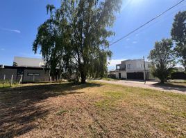 Terrain à vendre à La Plata, Buenos Aires, La Plata