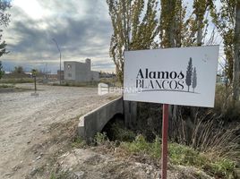  Terreno (Parcela) en venta en General Roca, Rio Negro, General Roca