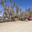  Terreno (Parcela) en venta en Chile, Pozo Almonte, Iquique, Tarapacá, Chile