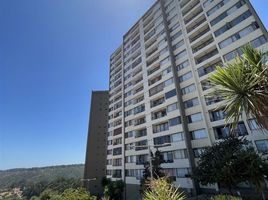 3 Bedroom Apartment for sale in Hospital Naval Almirante Nef, Vina Del Mar, Vina Del Mar