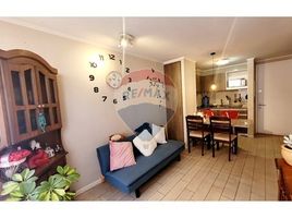1 Habitación Departamento en alquiler en Puente Alto, Cordillera, Puente Alto