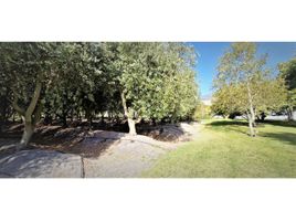  Land for sale in Chile, Limache, Quillota, Valparaiso, Chile