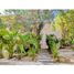4 Schlafzimmer Villa zu verkaufen in Conkal, Yucatan, Conkal, Yucatan