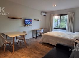 Estudio Apartamento en alquiler en Pilar, Buenos Aires, Pilar