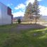  Grundstück zu verkaufen in Pehuenches, Neuquen, Pehuenches