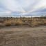  Land for sale in Neuquen, Confluencia, Neuquen