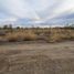  Land for sale in Neuquen, Confluencia, Neuquen