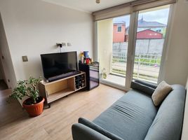 2 Habitación Apartamento en venta en Chile, Puerto Montt, Llanquihue, Los Lagos, Chile