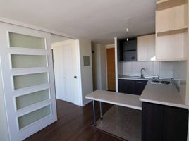 1 Habitación Departamento en alquiler en San Jode de Maipo, Cordillera, San Jode de Maipo