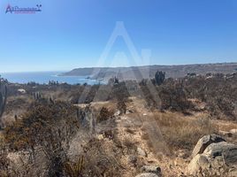  Terreno (Parcela) en venta en Coquimbo, Coquimbo, Elqui, Coquimbo