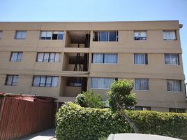 2 Bedroom Condo for sale in Cordillera, Santiago, Pirque, Cordillera