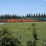  Terreno (Parcela) en venta en General Rodriguez, Buenos Aires, General Rodriguez