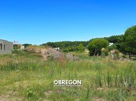  토지을(를) La Costa, 부에노스 아이레스에서 판매합니다., La Costa