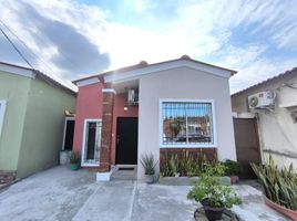 3 Bedroom House for sale in Daule, Guayas, Daule, Daule