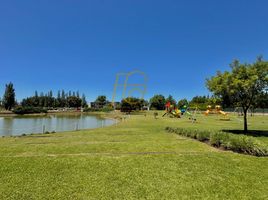  Land for sale in San Vicente, Buenos Aires, San Vicente