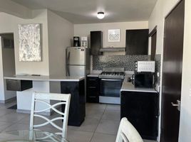 3 Habitación Apartamento en alquiler en Tijuana, Baja California, Tijuana, Baja California