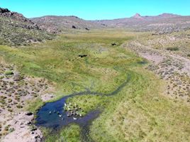  Terreno (Parcela) en venta en Rio Negro, Veinticinco De Mayo, Rio Negro