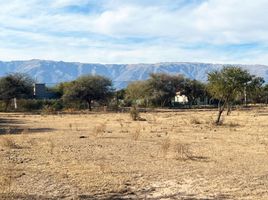  Terreno (Parcela) en venta en Junin, San Luis, Junin