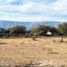  Land for sale in Junin, San Luis, Junin