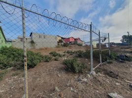  Grundstück zu verkaufen in Tijuana, Baja California, Tijuana