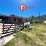 1 Bedroom House for sale in Chacabuco, San Luis, Chacabuco