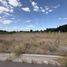  Land for sale in Neuquen, Confluencia, Neuquen