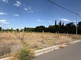  Land for sale in Neuquen, Confluencia, Neuquen