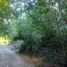  Land for sale in Colon, Cordoba, Colon
