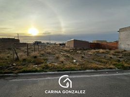  Land for sale in Confluencia, Neuquen, Confluencia