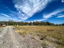  Land for sale in Confluencia, Neuquen, Confluencia