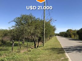  Land for sale in Junin, San Luis, Junin