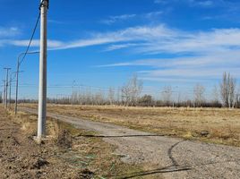  Terreno (Parcela) en venta en Rio Negro, General Roca, Rio Negro