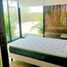 Condominium 2 chambre à louer à Merida, Yucatan, Merida