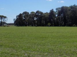  Land for sale in Lujan Buenos Aires, Lujan