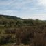  Land for sale in Cushamen, Chubut, Cushamen, Chubut